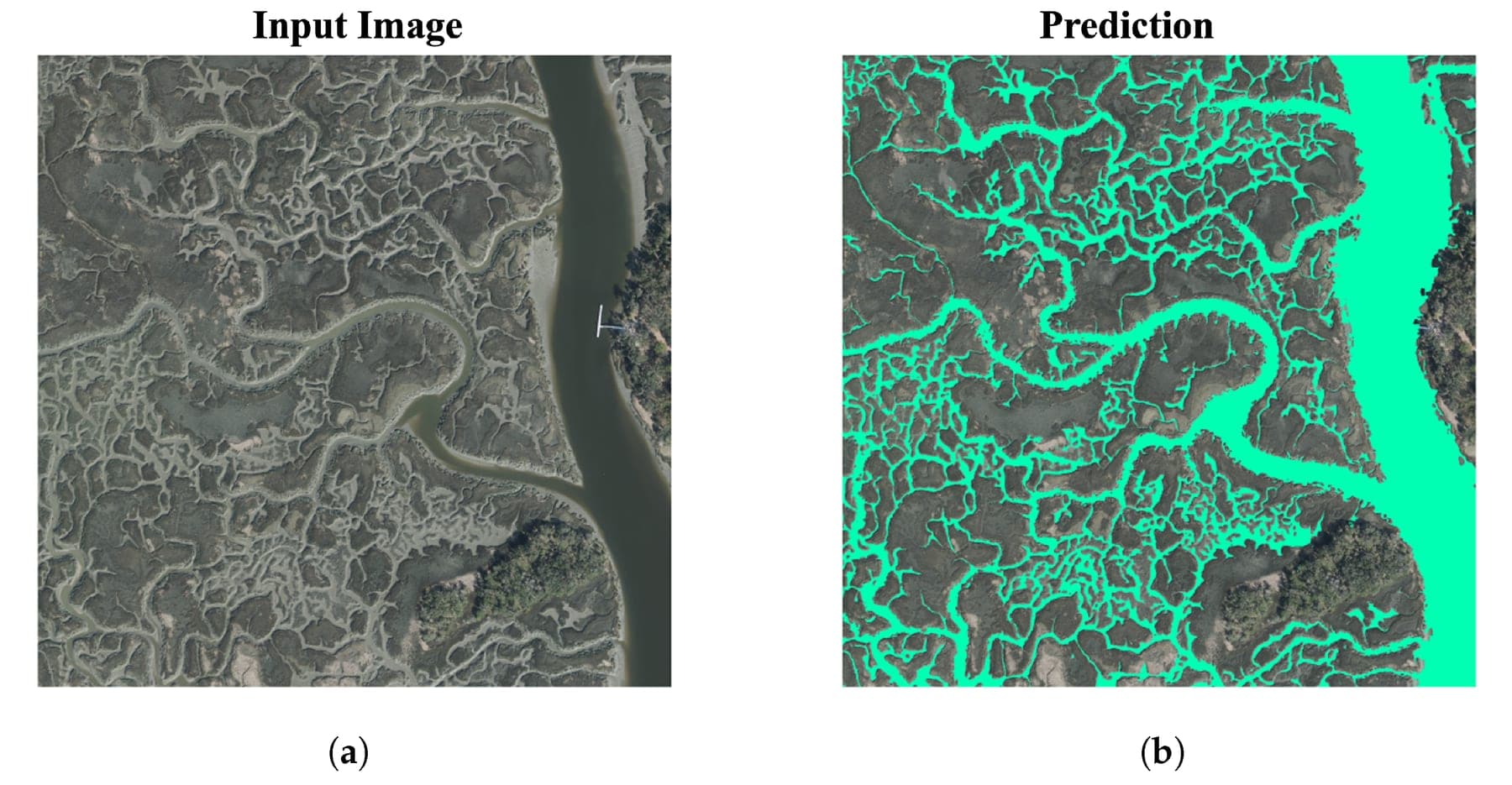 Deep Learning Segmentation of Coastal Tidal Creek Networks